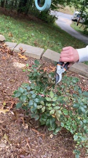 2.9K views · 52 reactions | One baby, endless fun  See more:-->https://youtu.be/vWd8fE0iHPM #lovebaby #funnybaby #cutebaby #babyfever #lovelybaby #babyphoto #newbornbaby #5minutefails | Funny Film | Facebook