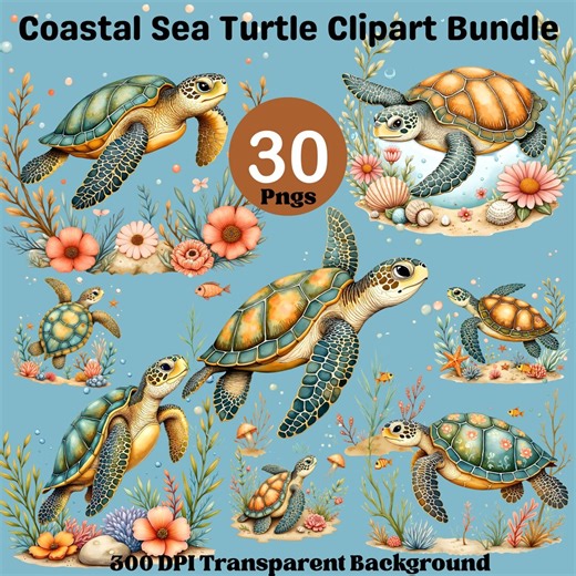 Whimsical Sea Turtle Clipart, Floral Ocean PNG, Coastal Summer Art (30 Files) - Etsy