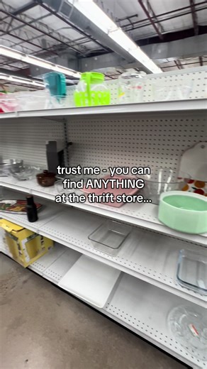 Amazing Finds at Goodwill: Your Thrifting Guide