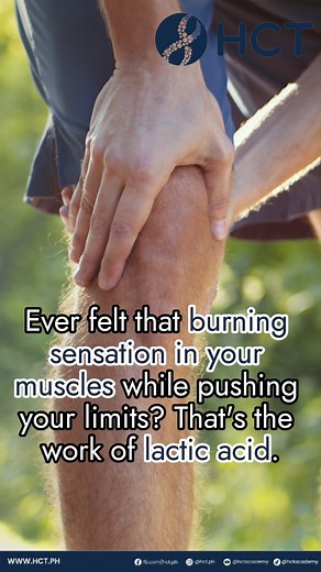 Don't fear the burn! Lactic acid helps your muscles grow stronger. Embrace the discomfort and push your limits (safely)! #WorkoutMotivation #LacticAcid #fyp | HCT Academy | Facebook