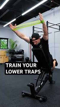 Train your lower traps. They're WAY more important than you think.