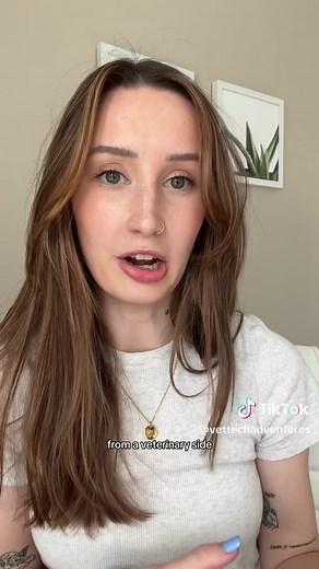 Recognizing and Treating Illness in Cats: Vet Tips