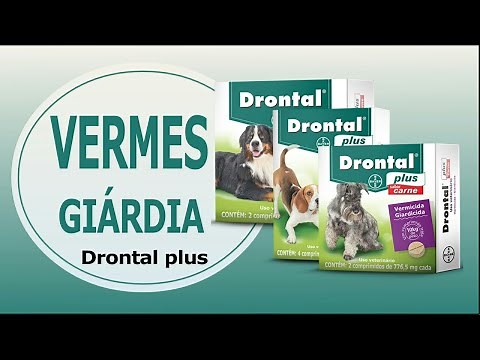 Drontal Plus Cães (Vermicida - Giardicida)