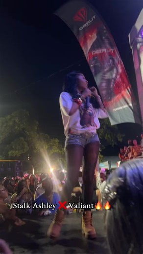 Understanding Narcissistic Behavior with Valiant