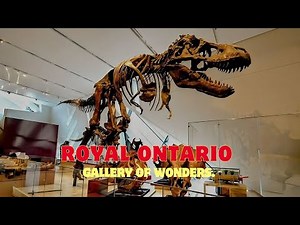 4K Tour of the Royal Ontario Museum | Full Walkthrough in Toronto, Canada| Fossils & More