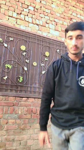 Hilarious Funny Video Compilation to Brighten Your Day