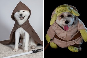 'May the Fourth' Be With These Adorable 'Star Wars' Dogs