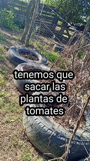 dando lugar a la nueva temporada#minigranja #jardin #huertaorgánica