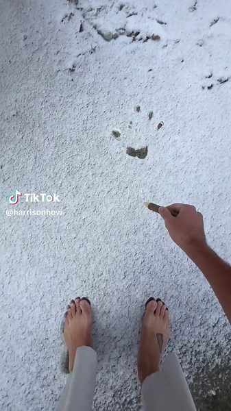 Easy parot drawing. Try doodling this today #drawingtutorial #lineart | drawing tutorials