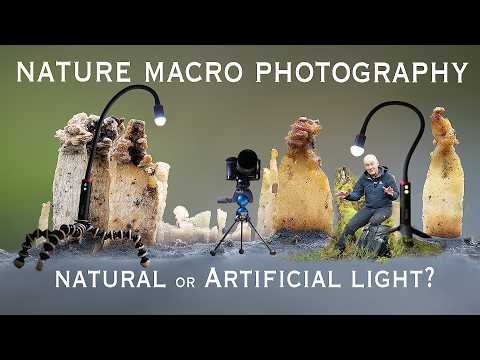 Nature Macro Photography Photo Stacking with Natural and Artificial Light