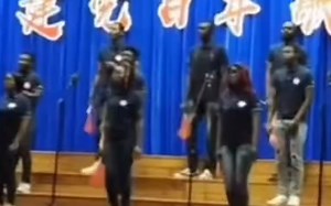 阳光彩虹小白马