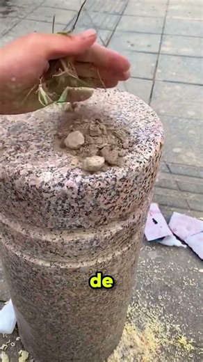 Instant noodles can repair anything.#shorts