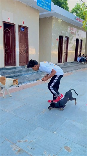 dog 🐶friendship speaks louder than words 😥#viraljump#talentedboystunt #dogapparel#funny