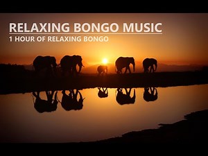 [1 HOUR] Relaxing Bongo Music - Meditation & Concentration