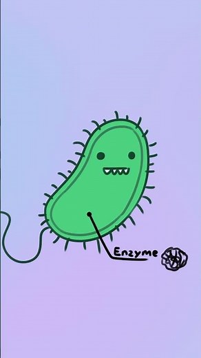 🦠These ocean bacteria just learned to eat plastic! #scienceanimation #oceancleanup #plasticpollution