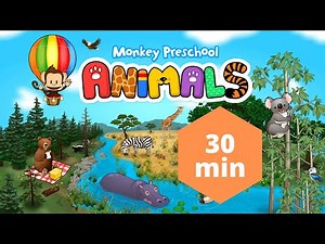 Monkey Preschool Animals #3 and #4 30 min