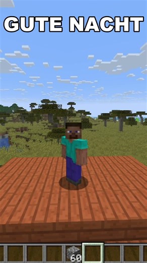 Day 19 of teaching all of you German inside of Minecraft