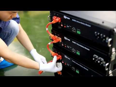 Dyness lithium ion batterry