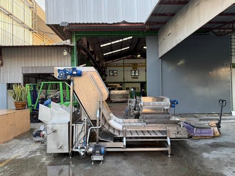 Chlorine Soaking Machine and Inclined Conveyor with Chlorine Rinsing System.