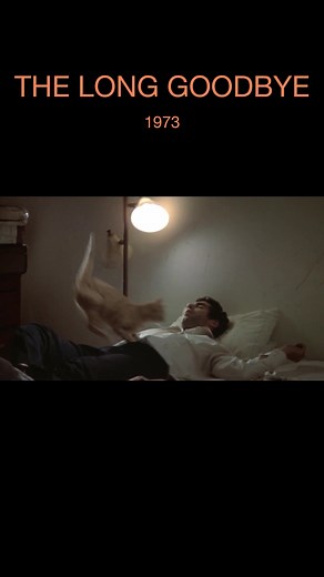 The Long Goodbye: A 70s Cinematic Masterpiece