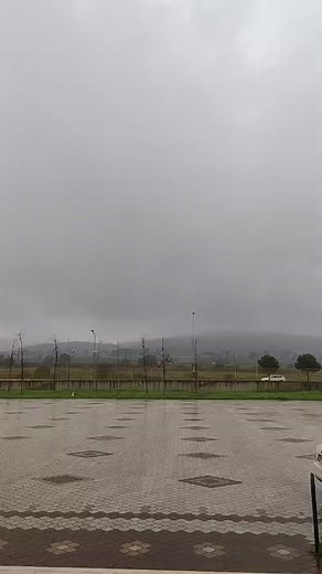 5.1K views · 29 reactions | Amazing Nature on Reels | Facebook