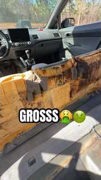 Why you should clean your car