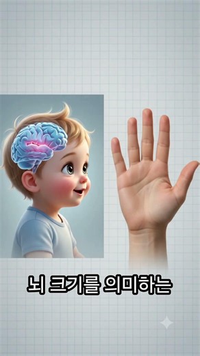 지금 당장 손을 펴보세요! 손가락으로 보는 내 뇌 크기