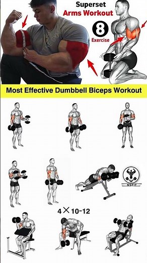 Biceps workout | biceps workout with dumbbells | biceps | Best Bicep workout #biceps