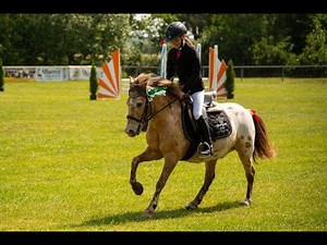 Springreiterwettbewerb mit SCHRADI auf dem Turnier| HeyHorse