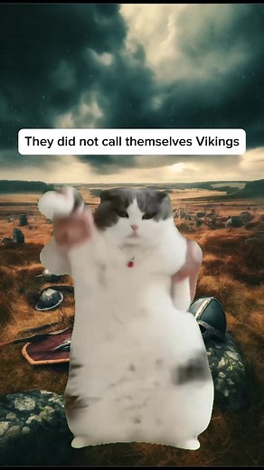 Facts about the Vikings You probably know #fyp #worldhistory #historylovers #fblifestyle | Simply Stated History