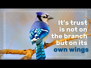 Social Emotional Learning Video Lesson (Week 44) - Standing on your own | Making good choices