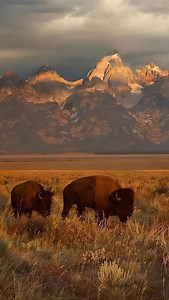 Ugo Marchal on Instagram: "Outdoor posing"