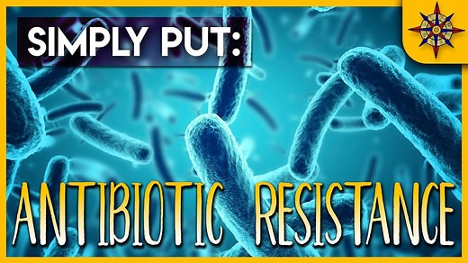 Antibiotic resistance explained