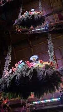 Walt Disneys Enchanted Tiki Room #bigfloridacountry #tikibirds #magickingdom