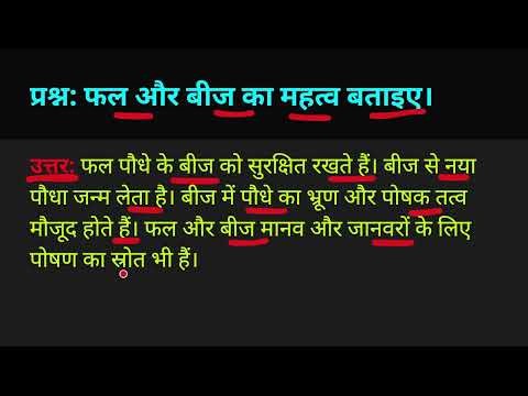 फल और बीज का महत्व बताइए।Phal aur beej ka mahatva batayiye.
