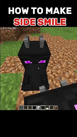 HOW TO MAKE SMILE IN MINECARFT