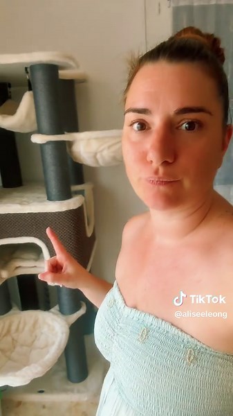 Convaincre Mon Chat de 9,8 kg d'Utiliser Son Arbre à Chat