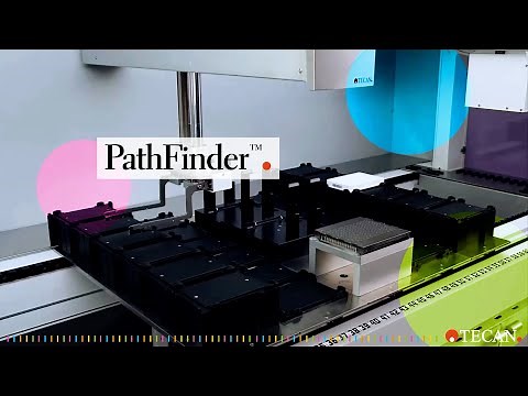 FluentControl™ PathFinder™ theory