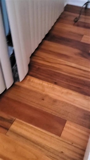 16 reactions · 7 comments | Who needs an alarm clock when you have a crazy 4 month old kitten?! Ohh the damage Finn has done! | Anne Dowe | Facebook