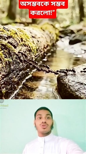 Ekotai Asol Shokti! 🐜💪 #shorts #shortsfeed #unity #teamwork #motivation #trending