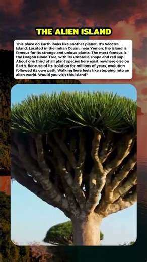 The Most Alien Island on Earth #mistery #curiosity