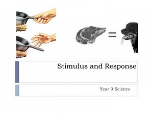 Stimulus and Response - SlideServe