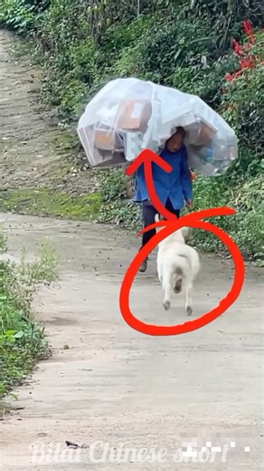 The old woman's dog was loyal🤯-mini wood toly woodworking art skill wood #shorts#facts#funny