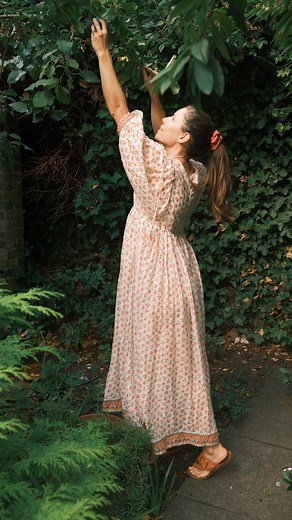 Manon Lagrève | 💜 RECIPE 💜 Make plum jam with me like my mother taught me to. My mum and grandmas have made jams (confitures) since I can remember. And I... | Instagram