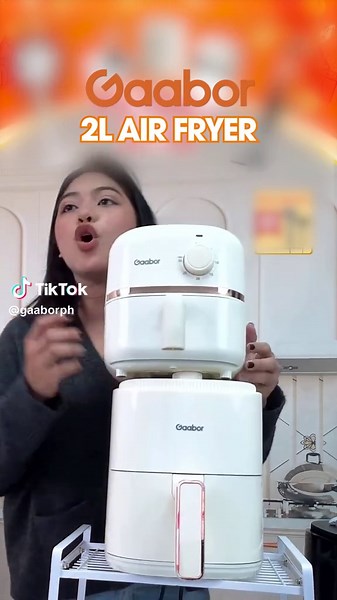 Gaabor 2L Air Fryer review — best small air fryer for 1–2 persons