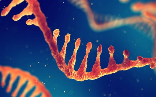 RNA的分类有哪些？简单聊聊信使RNA和转移RNA