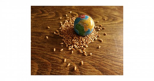 Five alarming statistics on global hunger