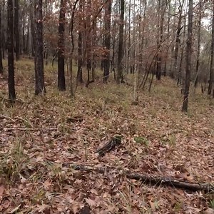 292K views · 3.6K reactions | Secrets etched in the earth... #preservation #exploration #history | Adventures Into History | Facebook