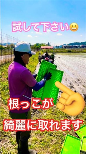 苗箱を綺麗にする方法🤩Kubota NW8S GS 田植え機 田植え作業#farming #現代農業 #automobile #kubota