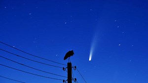 These stunning pictures captured Comet Neowise soaring through the sky. Here's how you can see it for yourself